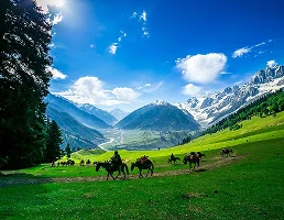 Packers and Movers in Jammu & Kashmir